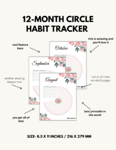 Canva Tracker Plr